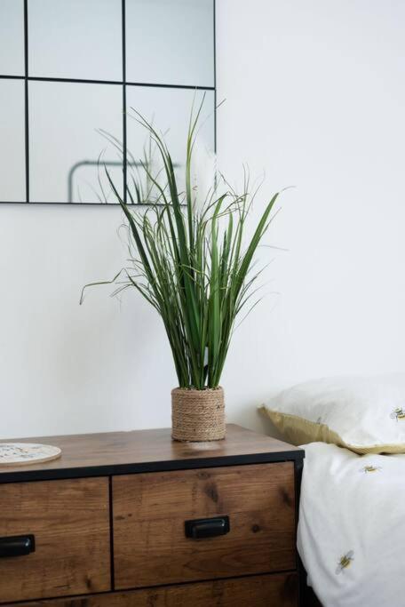 Bungalow In Keynsham Ngoại thất bức ảnh